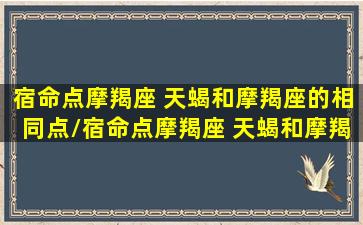 宿命点摩羯座 天蝎和摩羯座的相同点/宿命点摩羯座 天蝎和摩羯座的相同点-我的网站